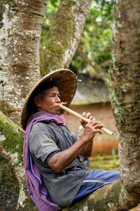 pexels-photo-32329263