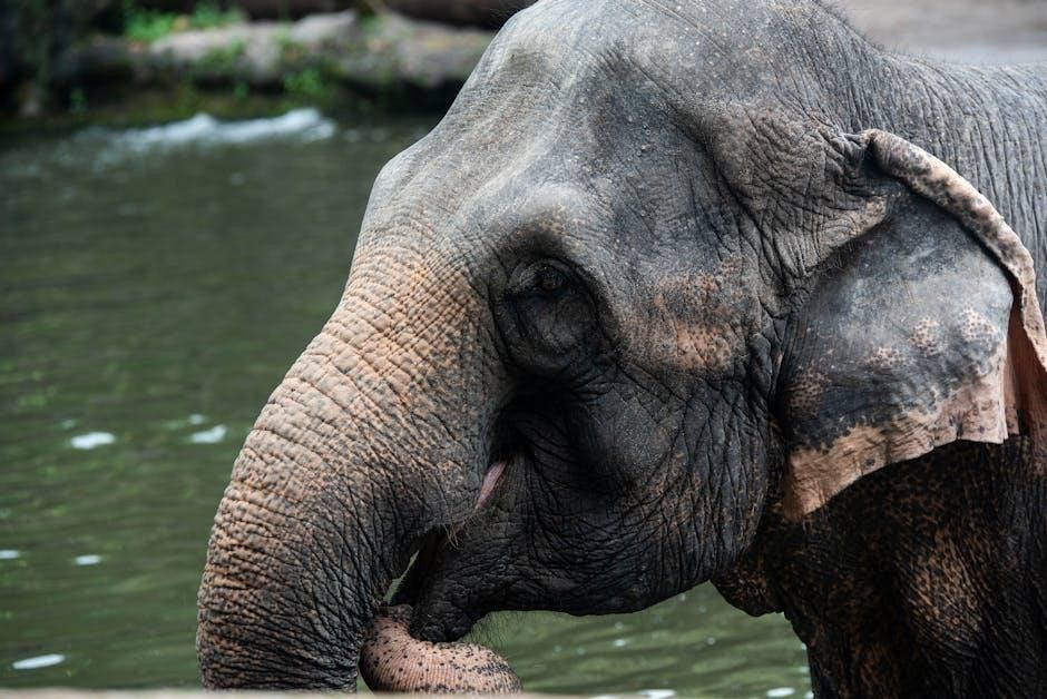 pexels-photo-27567208