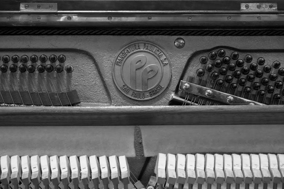 pexels-photo-32921118