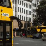 pexels-photo-33912624