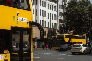 pexels-photo-33912624