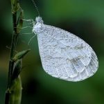 pexels-photo-35111632