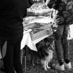 pexels-photo-35641417