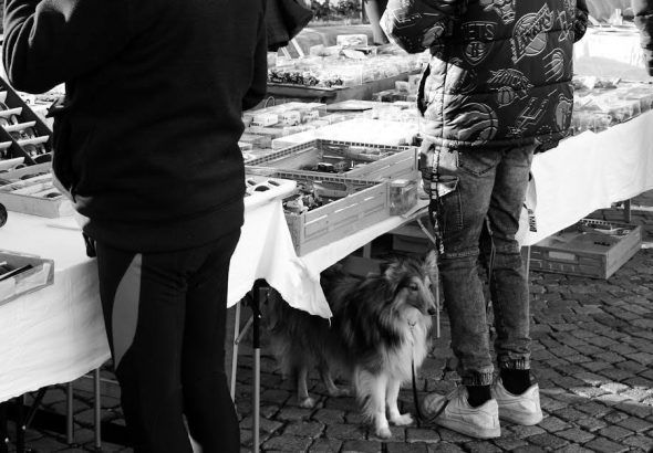 pexels-photo-35641417