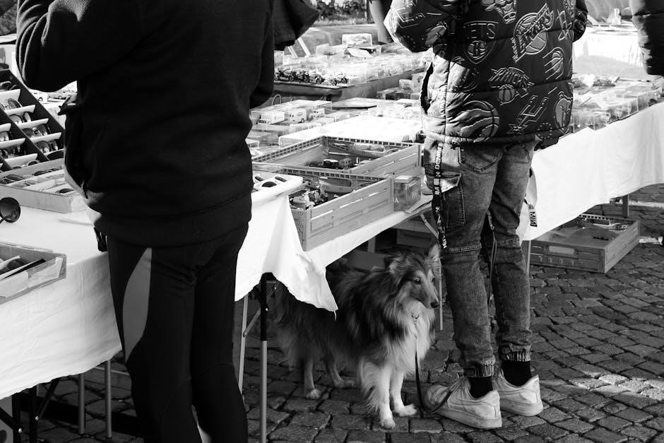 pexels-photo-35641417