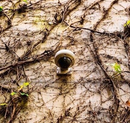 pexels-photo-13257684