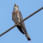 pexels-photo-12498715