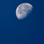 pexels-photo-17881632