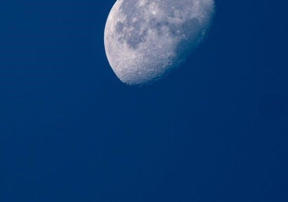 pexels-photo-17881632