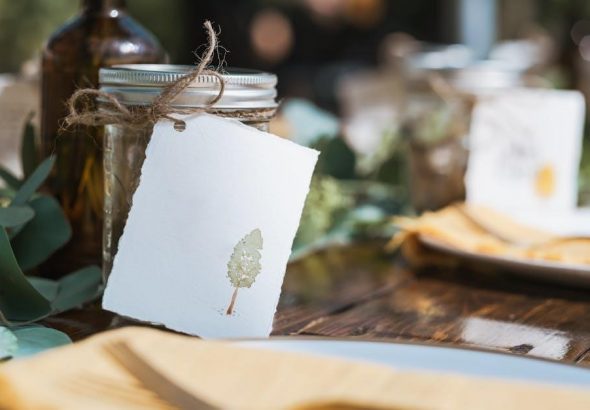 pexels-photo-23355740